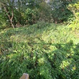 Teknős tanösvény Dunakeszi - Egyéb