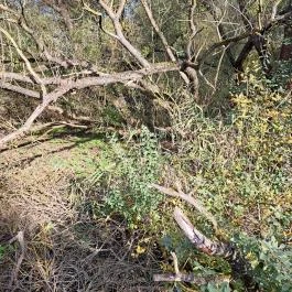 Teknős tanösvény Dunakeszi - Egyéb