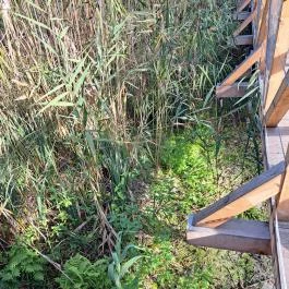 Teknős tanösvény Dunakeszi - Egyéb