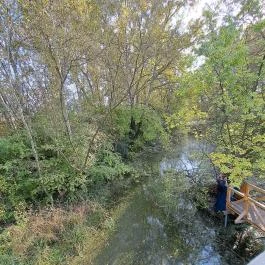 Teknős tanösvény Dunakeszi - Egyéb