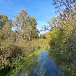 Teknős tanösvény Dunakeszi - Egyéb