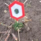 Temető Kisgyőr - Egyéb