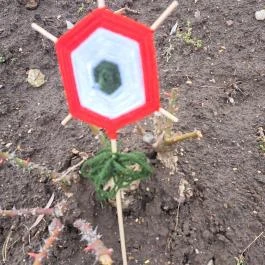 Temető Kisgyőr - Egyéb