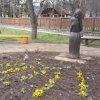 Temető Kisgyőr - Egyéb