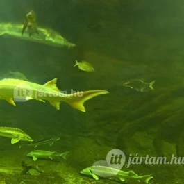 Tisza-tavi Ökocentrum Poroszló - Egyéb