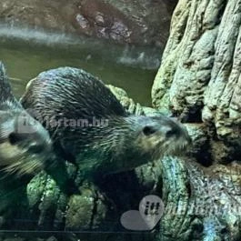 Tisza-tavi Ökocentrum Poroszló - Egyéb