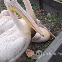 Tisza-tavi Ökocentrum Poroszló - Egyéb