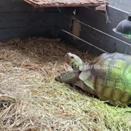 Tisza-tavi Ökocentrum Poroszló - Egyéb