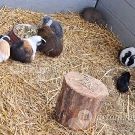 Tisza-tavi Ökocentrum Poroszló - Egyéb