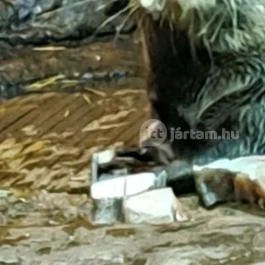 Tisza-tavi Ökocentrum Poroszló - Egyéb