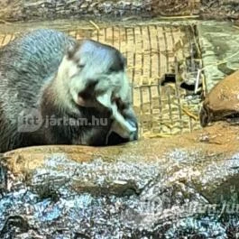 Tisza-tavi Ökocentrum Poroszló - Egyéb