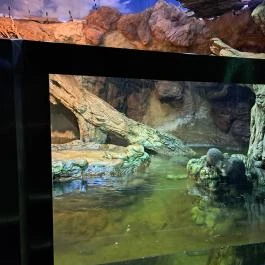 Tisza-tavi Ökocentrum Poroszló - Egyéb