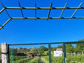 Tokodi pincesor Tokod