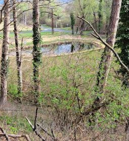 Tóvölgyi László sétány