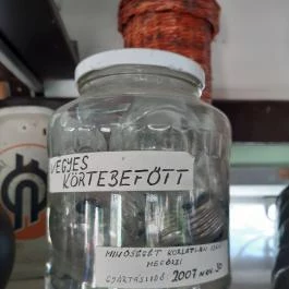 Turisztikai Főpályaudvar, Békéscsaba - Egyéb