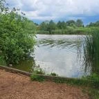 Úszóláp tanösvény Szigetszentmiklós - Egyéb