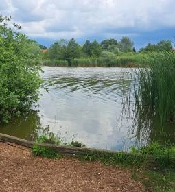 Úszóláp tanösvény