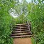 Úszóláp tanösvény Szigetszentmiklós - Egyéb