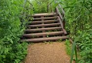 Úszóláp tanösvény Szigetszentmiklós