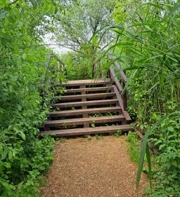 Úszóláp tanösvény