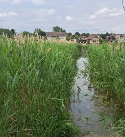 Úszóláp tanösvény