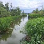 Úszóláp tanösvény Szigetszentmiklós - Egyéb