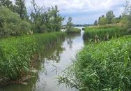 Úszóláp tanösvény Szigetszentmiklós