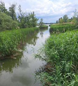 Úszóláp tanösvény