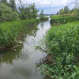 Úszóláp tanösvény, Szigetszentmiklós - Egyéb