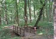 Vadvirág tanösvény Lenti