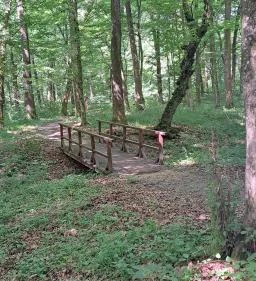 Vadvirág tanösvény