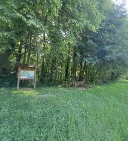 Vadvirág tanösvény