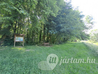 Vadvirág tanösvény