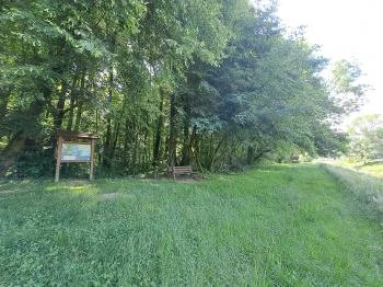 Vadvirág tanösvény Lenti