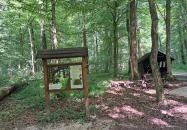 Vadvirág tanösvény Lenti