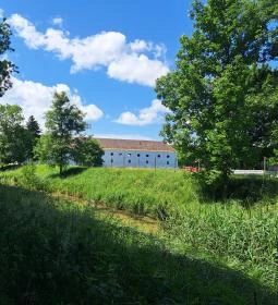 Vadvirág tanösvény