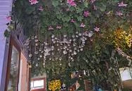 Varázslatos Tündérlak Sződ