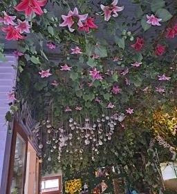 Varázslatos Tündérlak