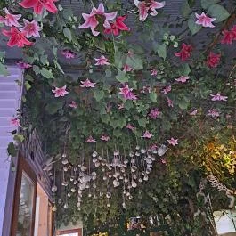 Varázslatos Tündérlak, Sződ - Egyéb