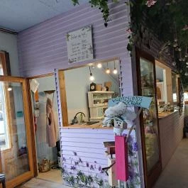 Varázslatos Tündérlak, Sződ - Egyéb