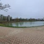 Városi Dísztó Tiszaújváros - Egyéb