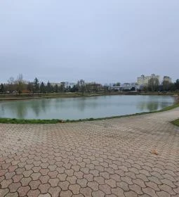 461. legjobb látnivaló: Városi Dísztó