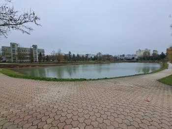 Városi Dísztó Tiszaújváros