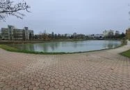 Városi Dísztó Tiszaújváros