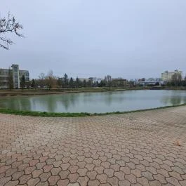 Városi Dísztó Tiszaújváros - Egyéb