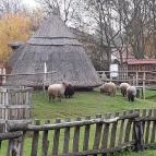 Várpark és Skanzen Dinnyés - Egyéb