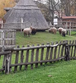 Várpark és Skanzen