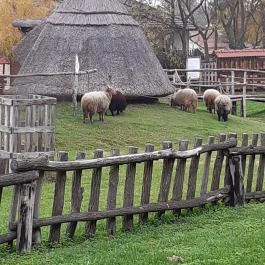 Várpark és Skanzen Dinnyés - Egyéb