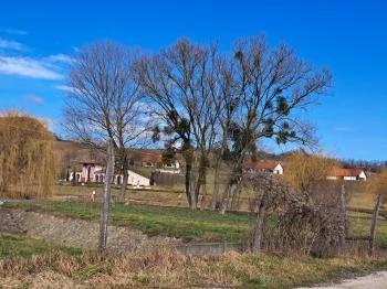 Via Lucis szoborcsoport Bajót