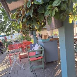 Vitorlás Bisztró, Keszthely - Egyéb